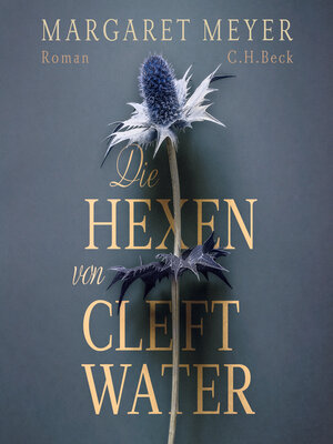 cover image of Die Hexen von Cleftwater